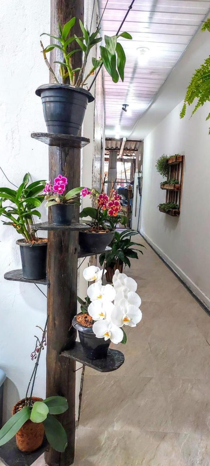 Casa Canto E Aconchego Florianopolis Ngoại thất bức ảnh